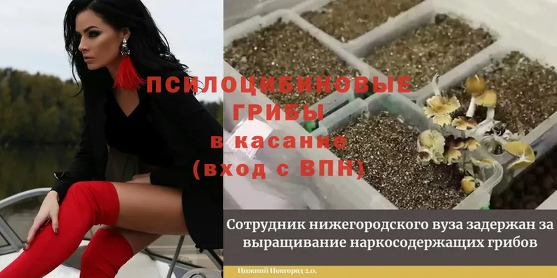 Купить наркотики сайты Ленск МАРИХУАНА  Cocaine  APVP  Меф 